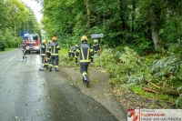 _2025-06-23 Sturmschaden B141 Pramwald-0420